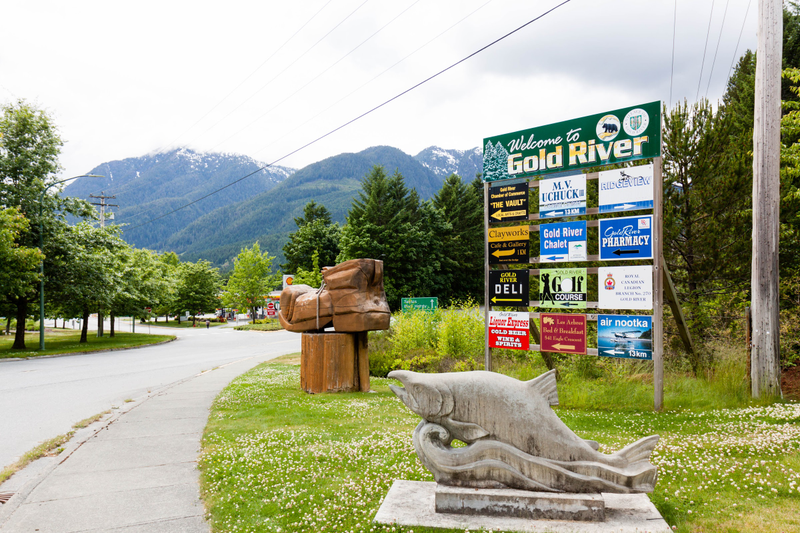 Illustration for article titled Pics from the 2017 North Island Roadtrip: 2017-06-17 at Gold River